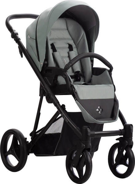 Изображение товара Детская универсальная коляска Bebetto Flavio Pro 2 в 1 (09/черная рама)