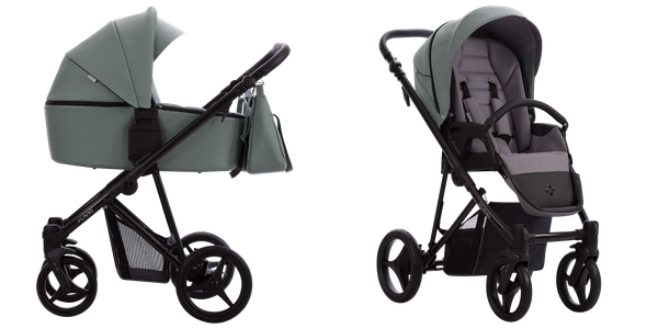 Изображение товара Детская универсальная коляска Bebetto Flavio Pro 2 в 1 (09/черная рама)