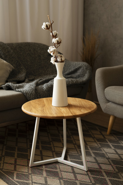 Изображение товара Журнальный столик Stal-Massiv SMT-60 (дуб натуральный/белый)