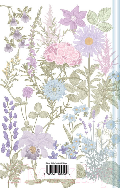 Изображение товара Книга Эксмо Аня с острова Принца Эдуарда / 9785041909802 (Монтгомери Л.М.)