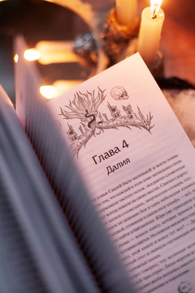 Изображение товара Книга МИФ Истина звезд / 9785002143245 (Рид А.)