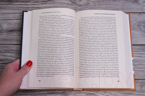 Изображение товара Книга АСТ Ландшафты мозга / 9785171527211 (Шварцлоуз Р.)