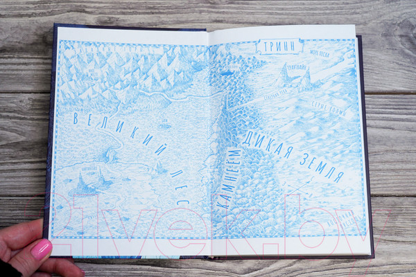 Изображение товара Книга АСТ Хроники небесных лошадок. Стражники магии / 9785171198718 (Ридделл К.)