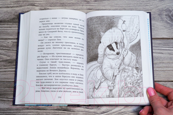 Изображение товара Книга АСТ Хроники небесных лошадок. Стражники магии / 9785171198718 (Ридделл К.)