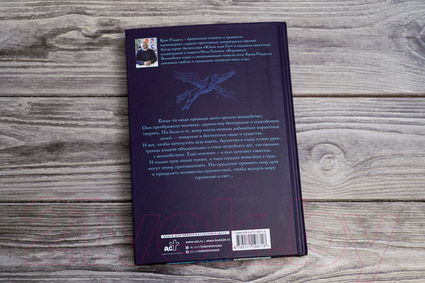 Изображение товара Книга АСТ Хроники небесных лошадок. Стражники магии / 9785171198718 (Ридделл К.)