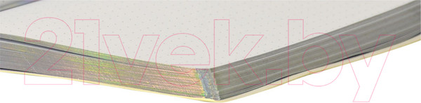 Изображение товара Записная книжка Lorex Holochrome / LXNBB6-HC (128л, белый)