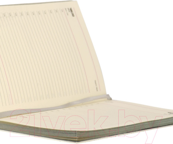 Изображение товара Ежедневник Lorex Diarptile / LXDRB6-DP2 (96л, жемчужный)