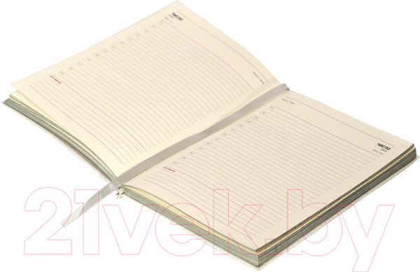 Изображение товара Ежедневник Lorex Diarptile / LXDRB6-DP2 (96л, жемчужный)