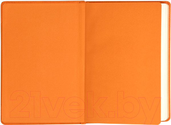 Изображение товара Ежедневник inФормат Inspiration / IFDNB-INSPA5/Or (96л, оранжевый)