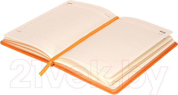 Изображение товара Ежедневник inФормат Inspiration / IFDNB-INSPA5/Or (96л, оранжевый)