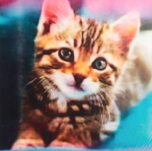 Изображение товара Набор алмазной вышивки Darvish Милый котенок / DV-13760-21
