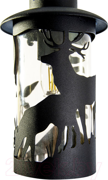 Изображение товара Светильник уличный Элетех Шервуд НПУ 02-100-002 / 1030480558 (черный)