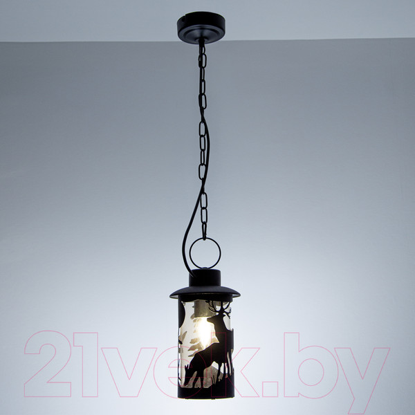 Изображение товара Светильник уличный Элетех Шервуд НПУ 02-100-002 / 1030480558 (черный)