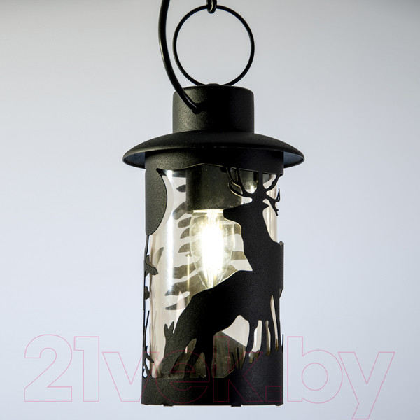 Изображение товара Светильник уличный Элетех Шервуд НПУ 02-100-002 / 1030480558 (черный)