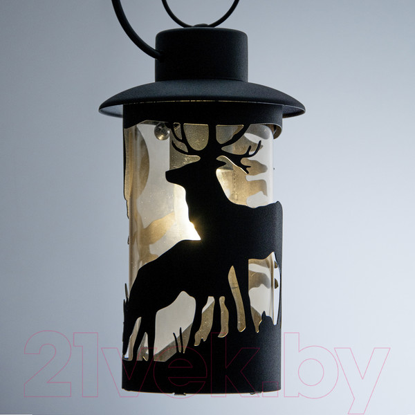 Изображение товара Светильник уличный Элетех Шервуд НПУ 02-100-002 / 1030480558 (черный)