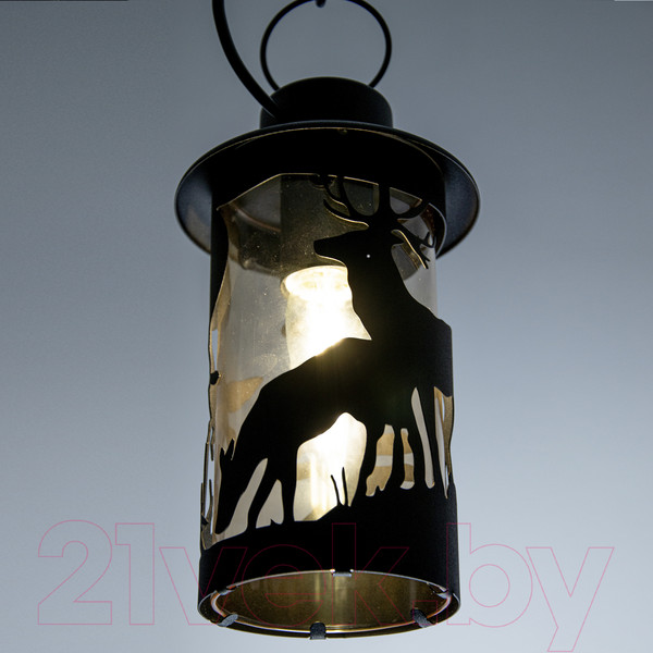 Изображение товара Светильник уличный Элетех Шервуд НПУ 02-100-002 / 1030480558 (черный)