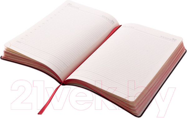 Изображение товара Ежедневник Acar Group Broad / BR10697/BRD10697 (красный)