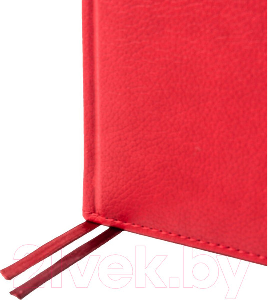 Изображение товара Ежедневник Acar Group Nanda / NAN5796 (красный)