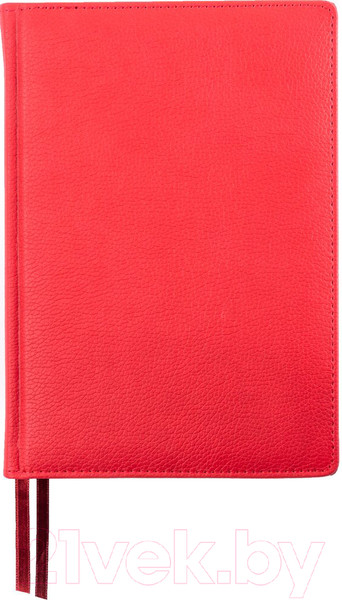 Изображение товара Ежедневник Acar Group Nanda / NAN5796 (красный)