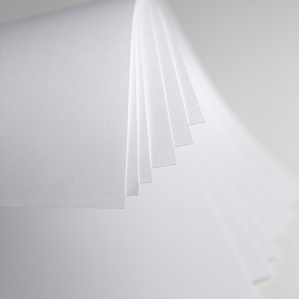 Изображение товара Набор бумаги для рисования Малевичъ Bristol / 402667 (100л)