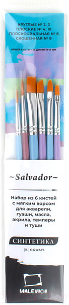 Изображение товара Набор кистей Малевичъ Salvador / 758920