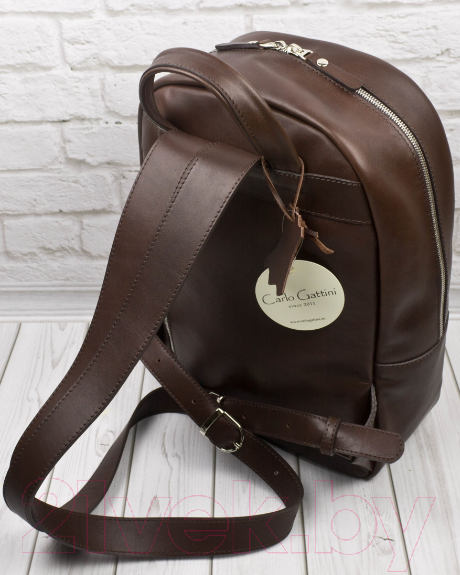 Изображение товара Рюкзак Carlo Gattini Premium Albiate / 3103-53 (коричневый)