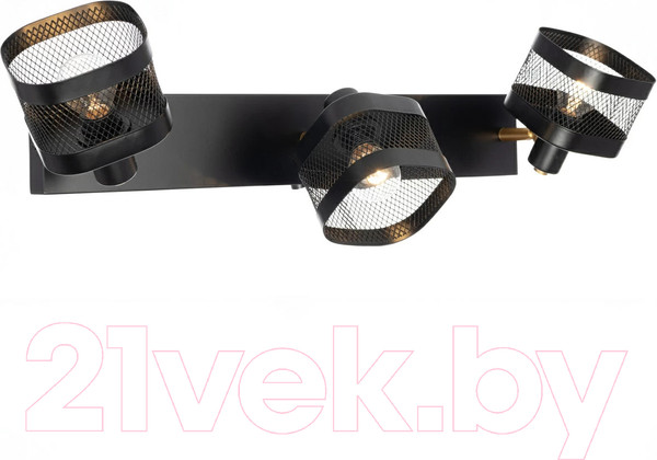 Изображение товара Спот Citilux Хаген CL531535