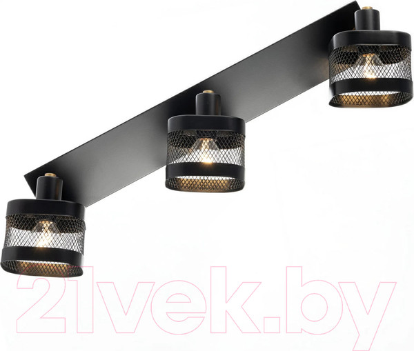 Изображение товара Спот Citilux Хаген CL531535