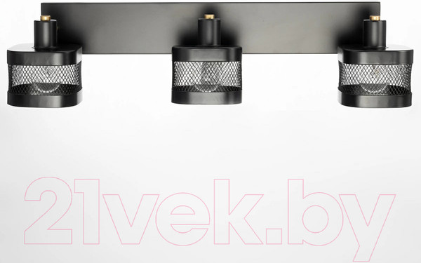 Изображение товара Спот Citilux Хаген CL531535