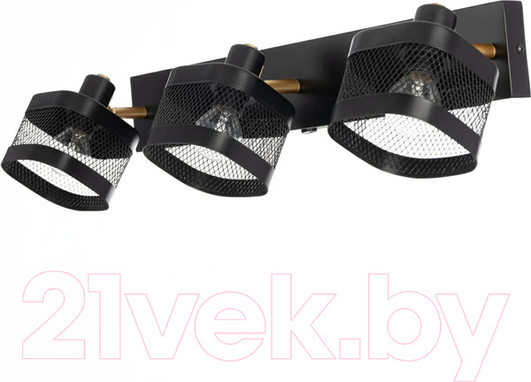 Изображение товара Спот Citilux Хаген CL531535