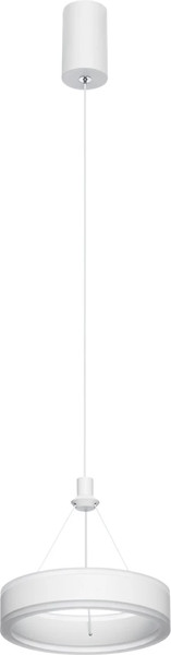 Изображение товара Потолочный светильник Citilux Дуэт CL719010