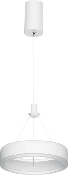 Изображение товара Потолочный светильник Citilux Дуэт CL719010