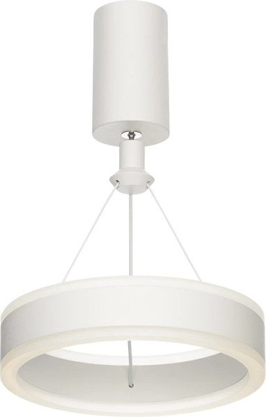 Изображение товара Потолочный светильник Citilux Дуэт CL719010