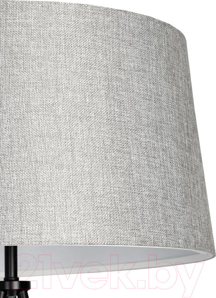 Изображение товара Торшер Citilux Рейнер CL806022