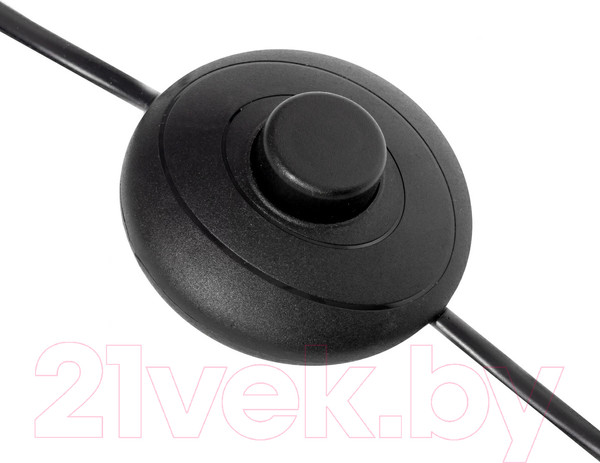 Изображение товара Торшер Citilux Рейнер CL806022