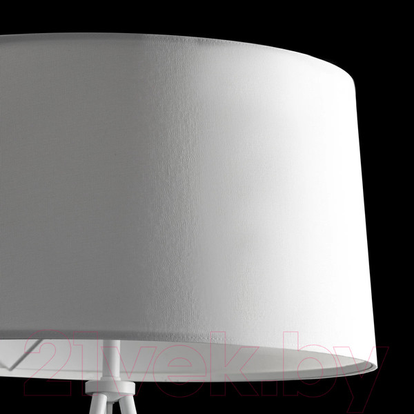 Изображение товара Торшер Citilux Рейнер CL806020