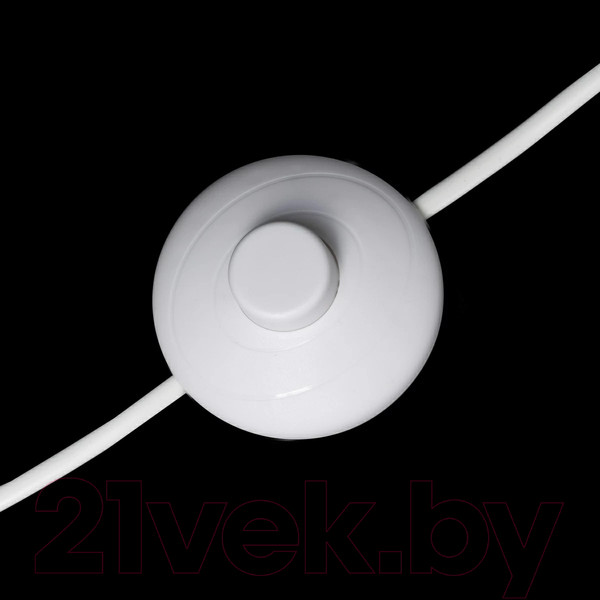 Изображение товара Торшер Citilux Рейнер CL806020