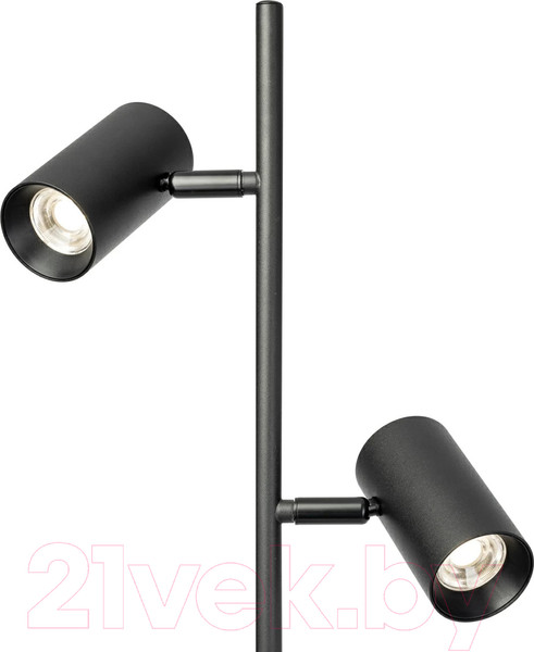 Изображение товара Торшер Citilux Twin CL809011N