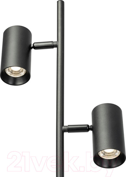 Изображение товара Торшер Citilux Twin CL809011N