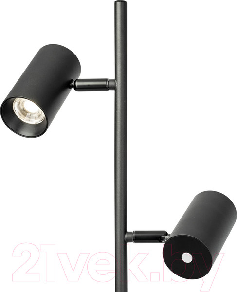 Изображение товара Торшер Citilux Twin CL809011N