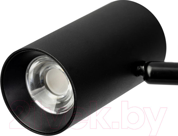 Изображение товара Торшер Citilux Twin CL809011N