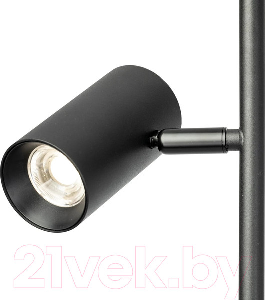 Изображение товара Торшер Citilux Twin CL809011N