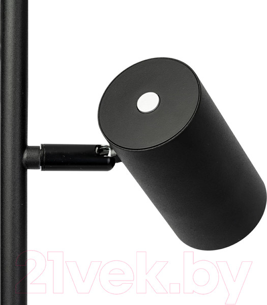 Изображение товара Торшер Citilux Twin CL809011N