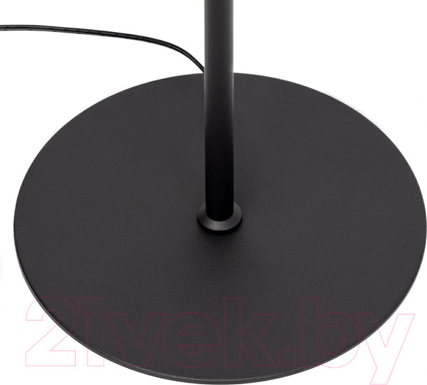 Изображение товара Торшер Citilux Twin CL809011N