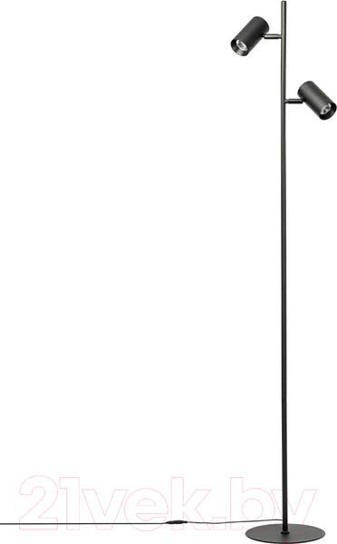 Изображение товара Торшер Citilux Twin CL809011N