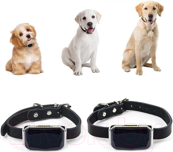 Изображение товара GPS-трекер для животных Pet Paws 640500239A