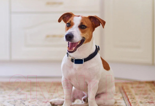 Изображение товара GPS-трекер для животных Pet Paws 640500239A