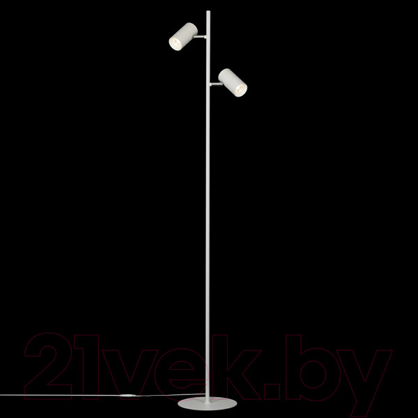 Изображение товара Торшер Citilux Twin CL809010N