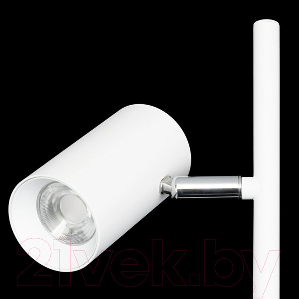 Изображение товара Торшер Citilux Twin CL809010N