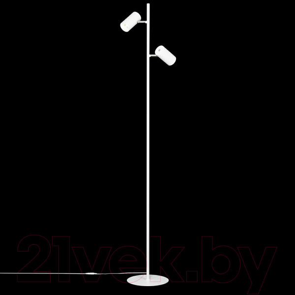 Изображение товара Торшер Citilux Twin CL809010N